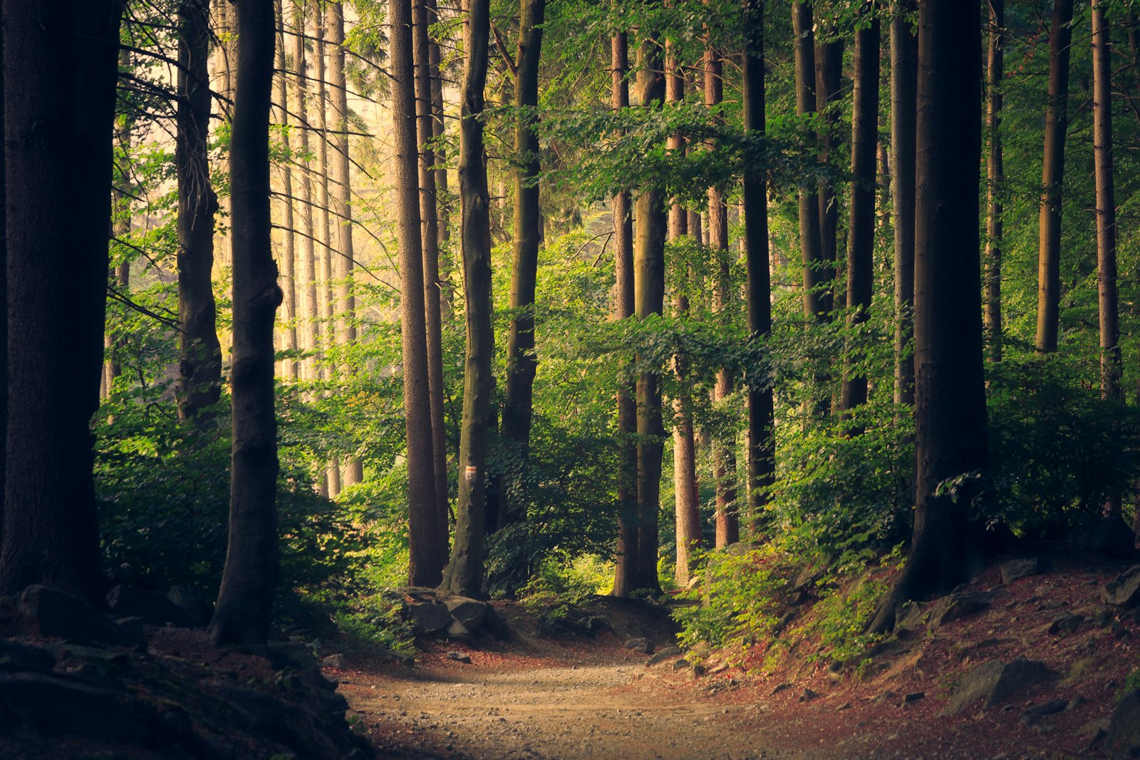 Manali